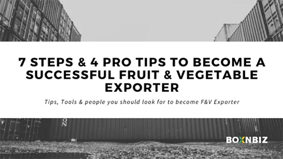 7 steps & 4 pro tips to become a successful fruit & vegetable exporter